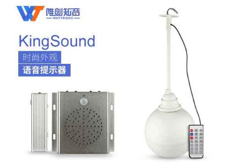 語(yǔ)音提示器使用需求量大幅增加的原因